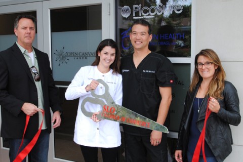 Open Canvas Laser
