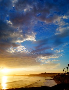 shane rabant art