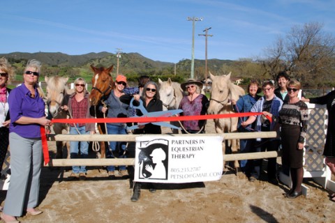 Partners in Equestrian Therapy