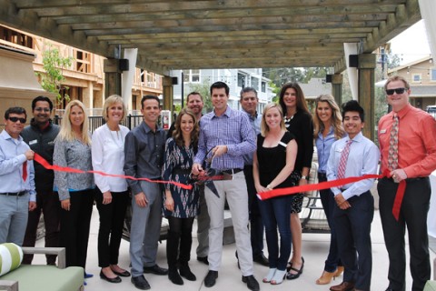 avivo homes