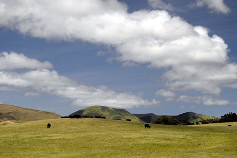 sustainable ranching