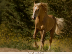 return to freedom