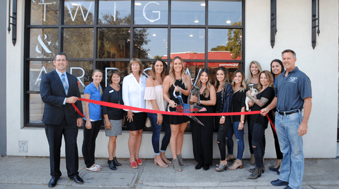 twig and arrow salon