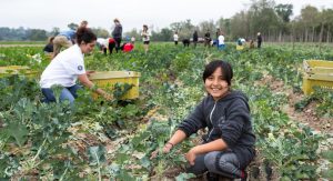 slo food bank