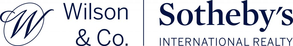 Wilson hoizontal logo