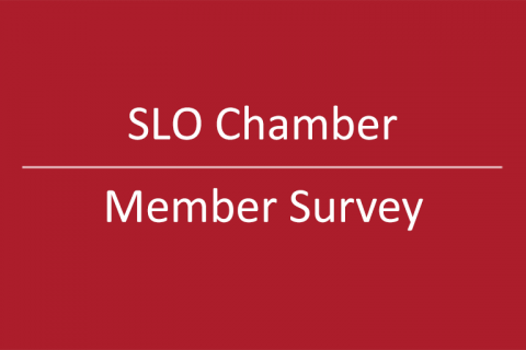member survey