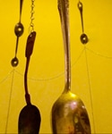 spoon tree-crop2