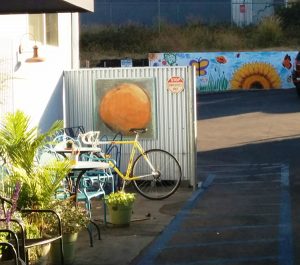 slo natural foods co-op