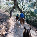 adventure aid