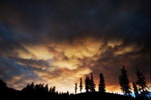 app's photography