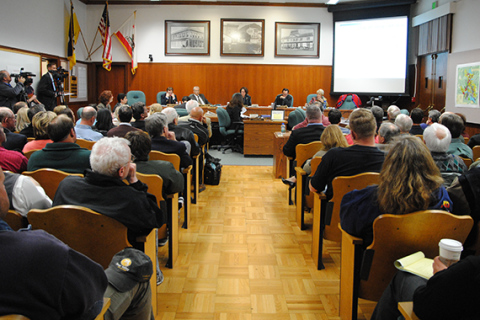 city council