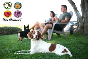 woods humane society