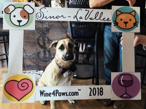woods humane society