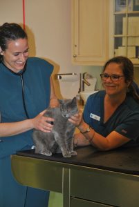 mission Animal Hospital
