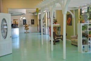 mission Animal Hospital