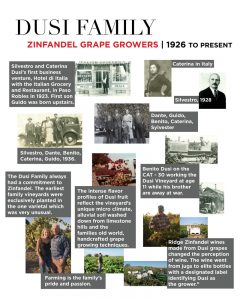 Wine History Project
