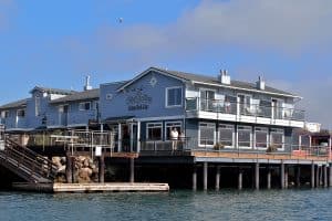 steven puglisi architects