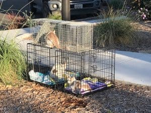 Woods Humane Society