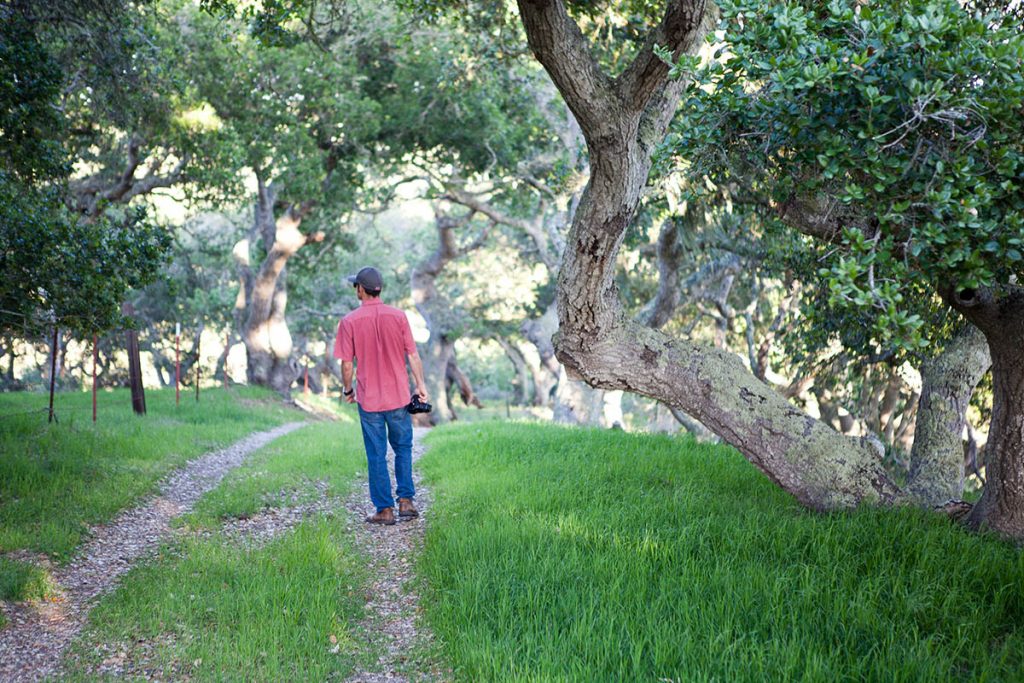the land conservancy