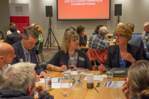 2020 slo county supervisor candidate