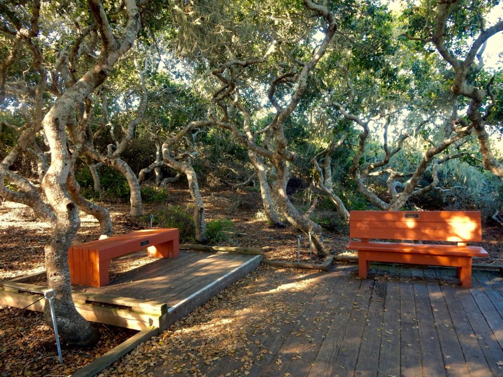 slo county beautification