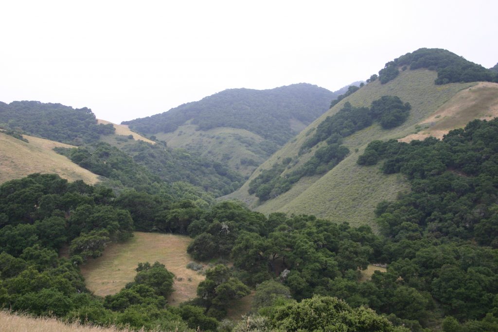 land conservancy