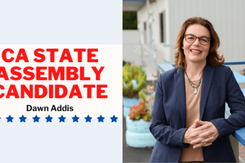 Dawn Addis CA Assembly