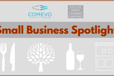 small business spotlights