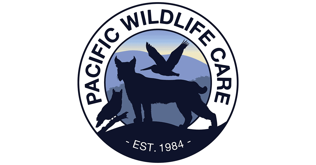 Marwell Wildlife Logo Vector - (.SVG + .PNG) - FindLogoVector.Com