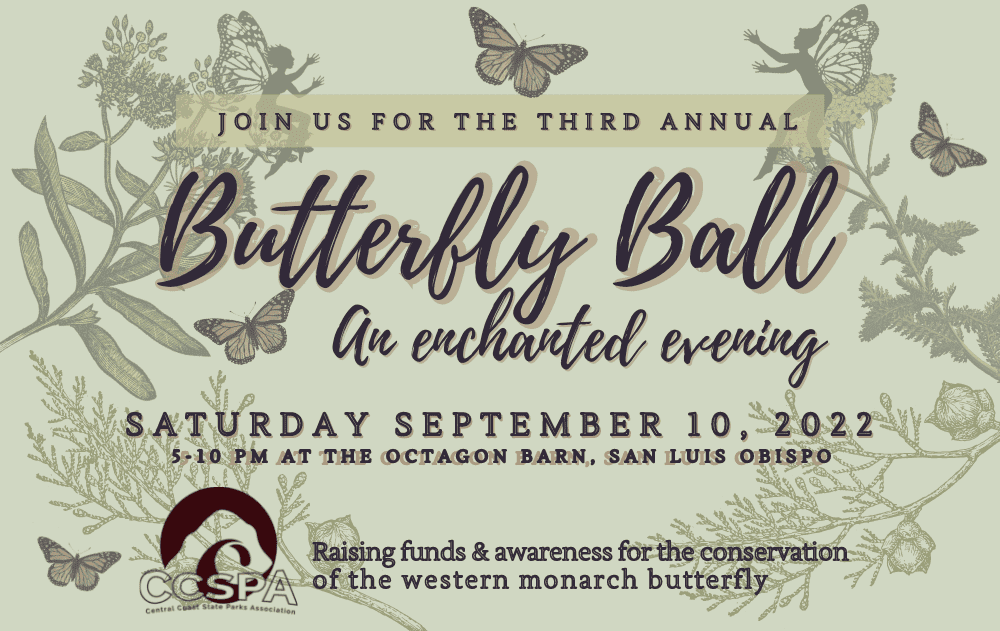 Butterflyball