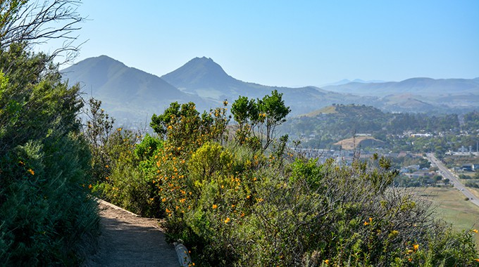 View of Cerro San Luis, Bishop's Peak and downtown San Luis Obispo from a trail. There is greenery framing the trail and the sky is blue and slightly hazy.