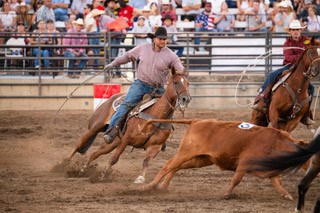 fair rodeo