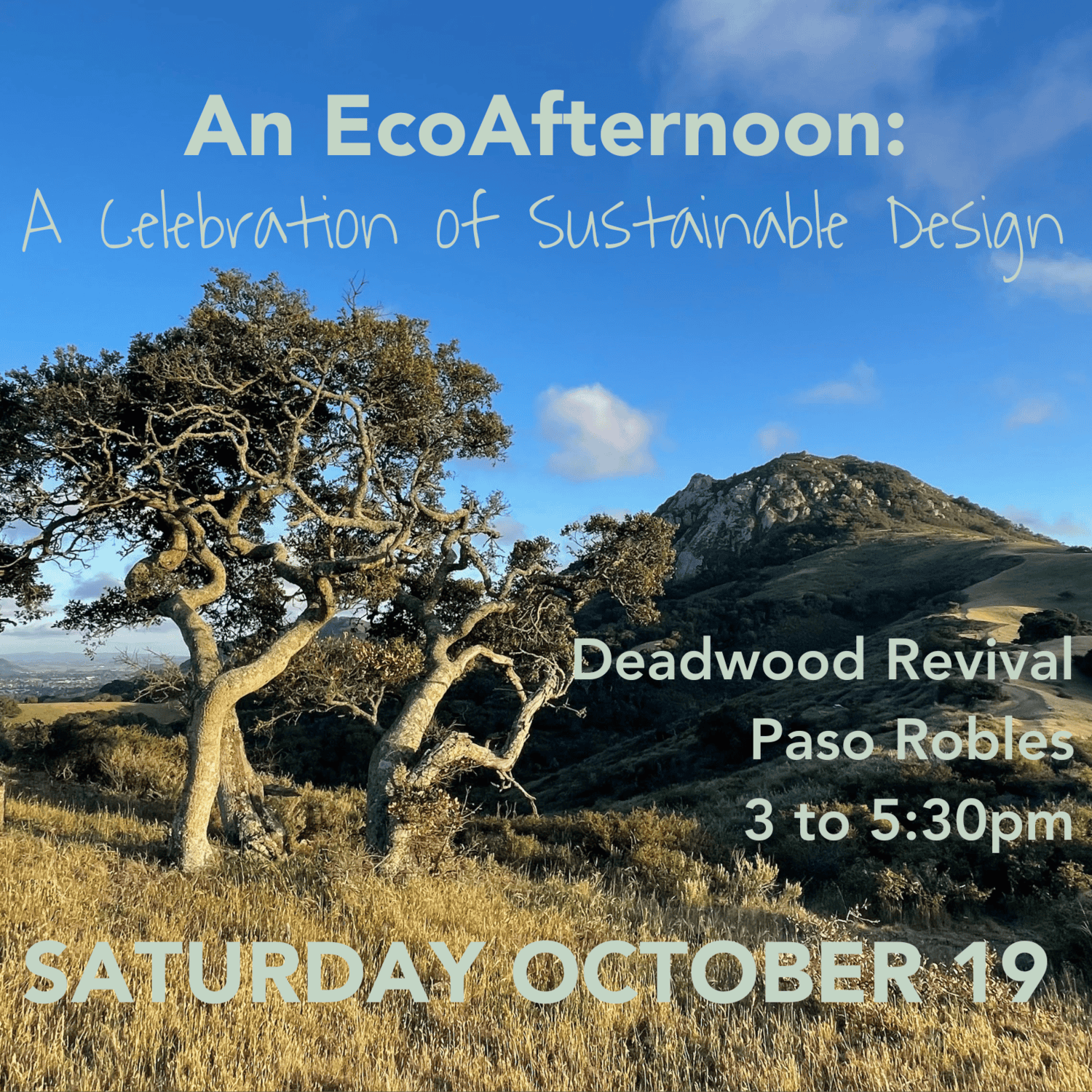 Save the Date Deadwood