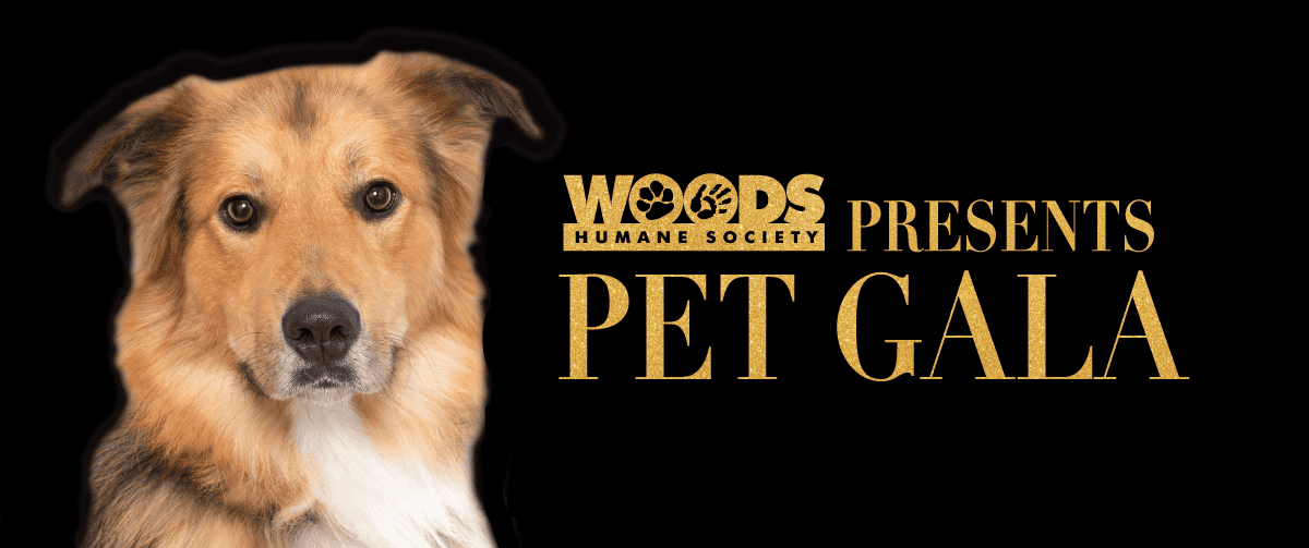 Woods Pet Gala