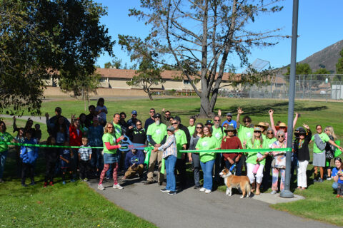 Group of people posing for a photo in a park. Most are wearing neon green shirts, supporting the NAMI organization.