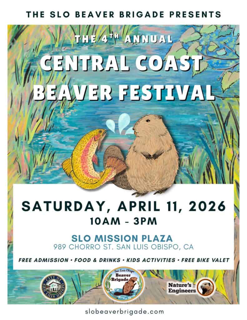 CENTRAL COAST BEAVER FESTIVAL – 22