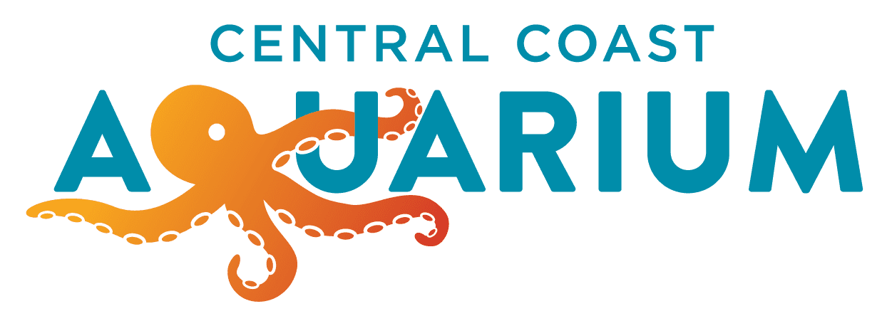 central-coast-aquarium-logo-v1