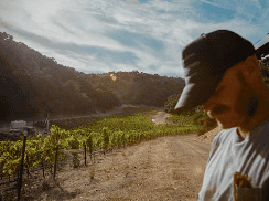 wine and bbq at region