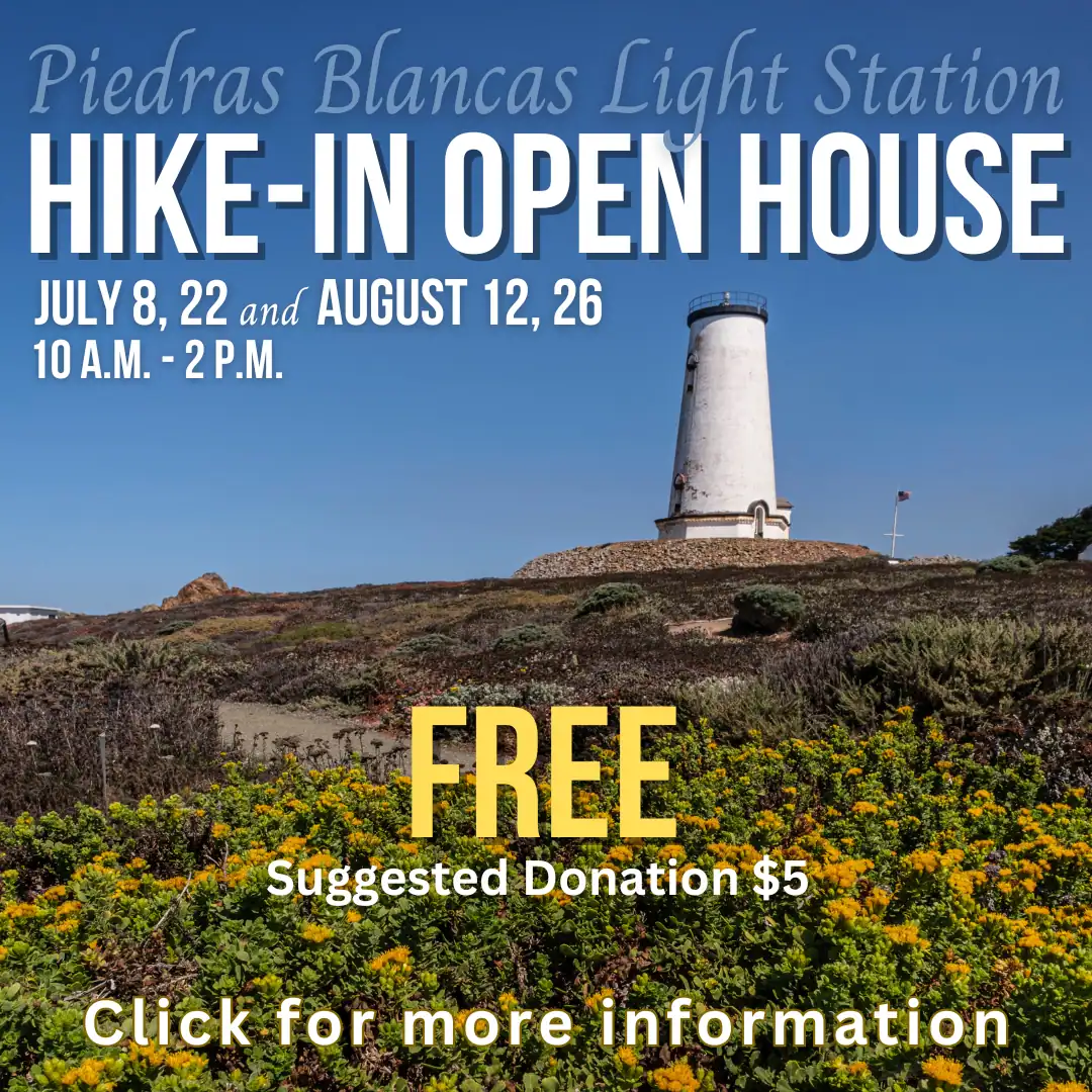 Hike-In 2026 – web_1779301773